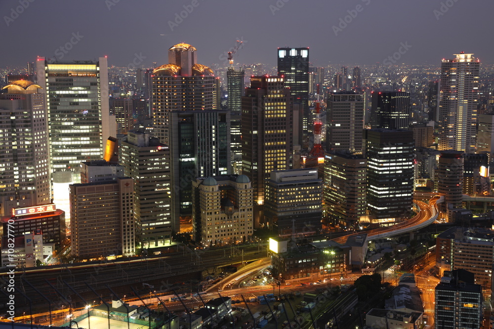 Obraz premium Tokyo panorama at night