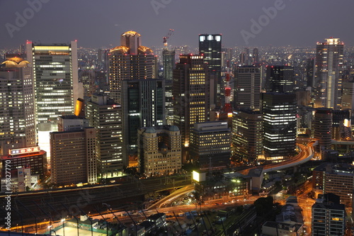 Tokyo panorama at night