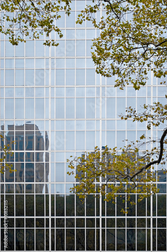 Buildings of Glass