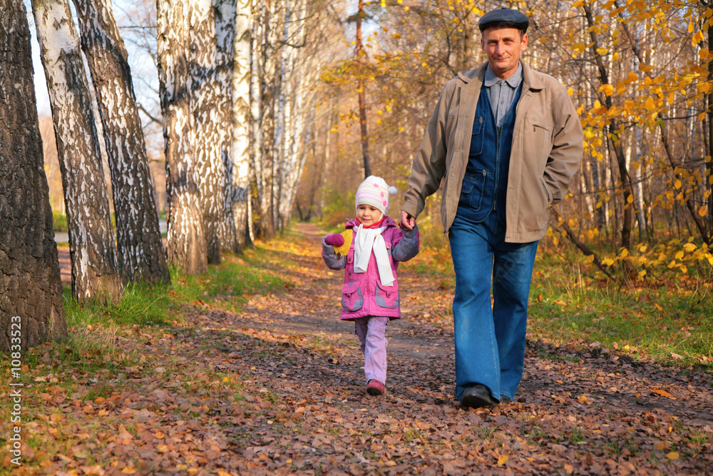 Fototapeta premium Grandfather with granddaughter walk in park in autumn .