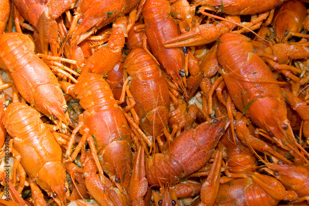 Close-up of prepared crayfishes Close-up of prepared crayfishes