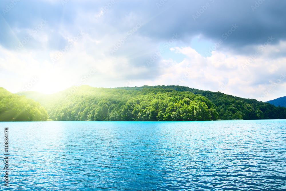 lake in forest