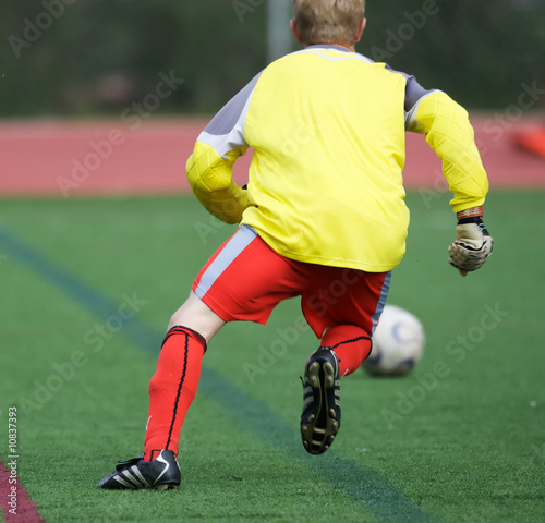 Goalie chasing after soccer ball