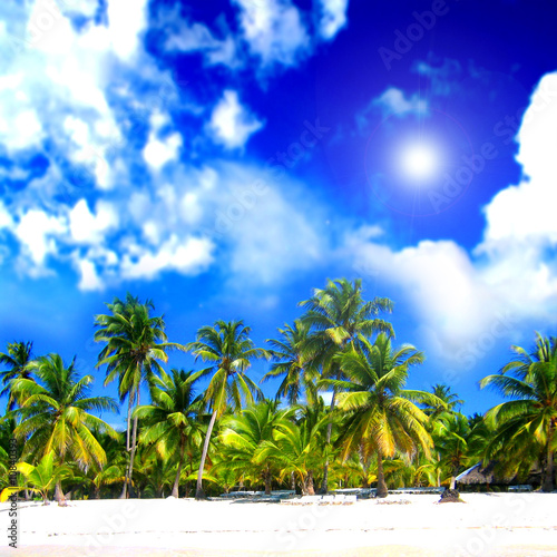 Tropical relaxing landscape
