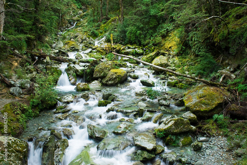 Φωτογραφία Small river on routeburn track