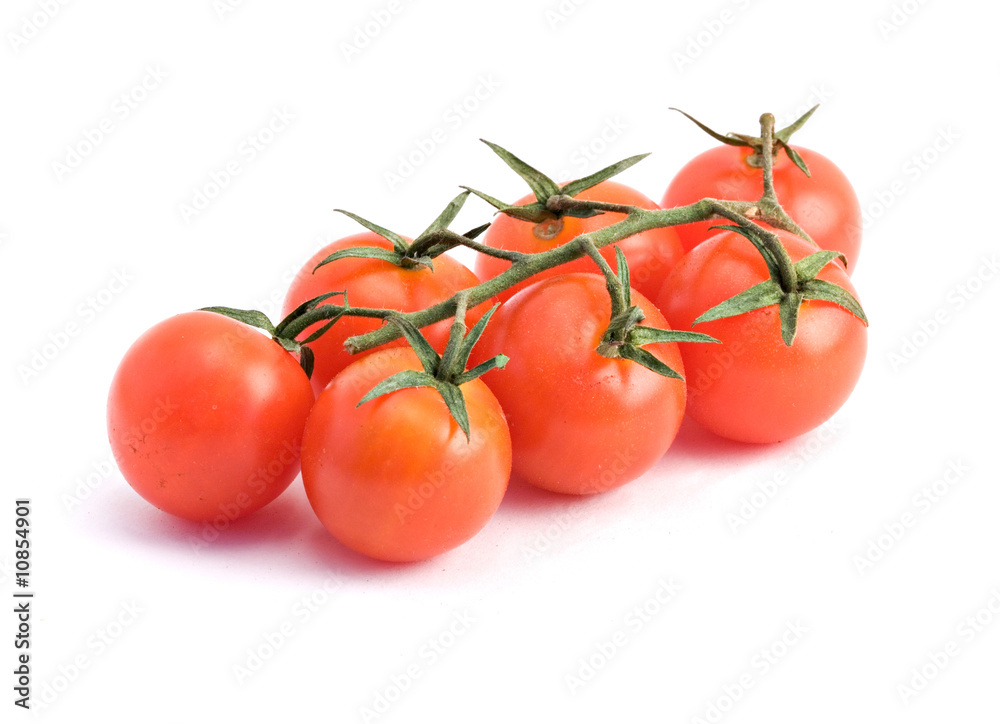 Closeup of branch of tomatoes isolated on white background
