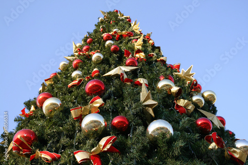 Outdoor Christmas tree