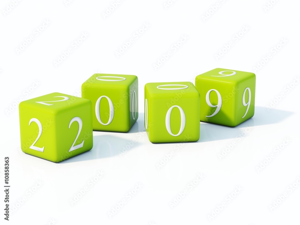 2009 New Year bricks isolated on white