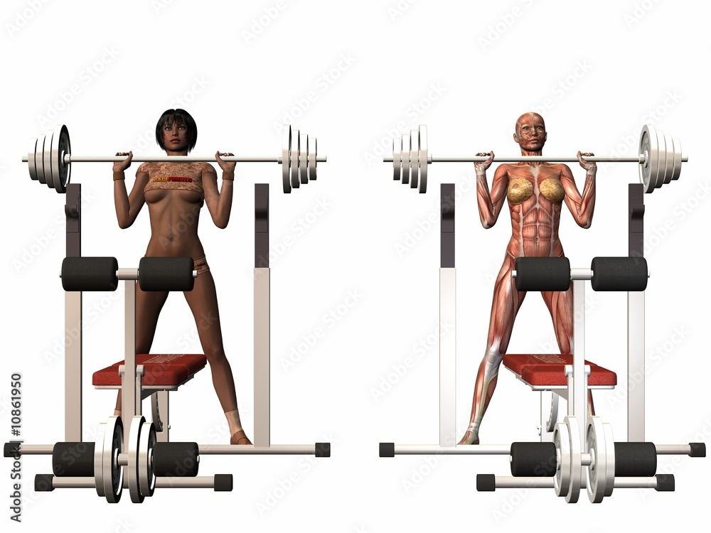 Muskelaufbau eines weiblichen Sportlers-Anatomie Muskelaufbau eines weiblichen Sportlers-Anatomie