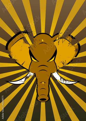 elefant hintergrund flyer