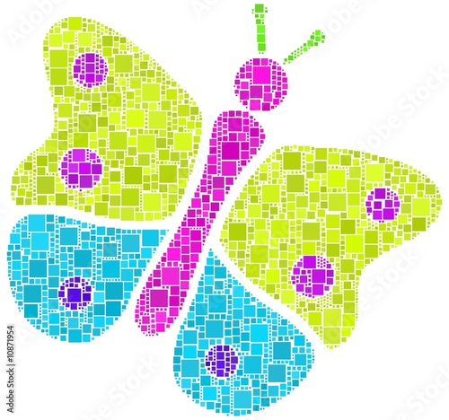 Farfalla con colori accesi