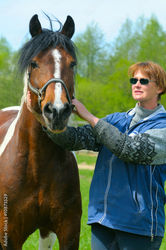 Obraz premium beautiful horse