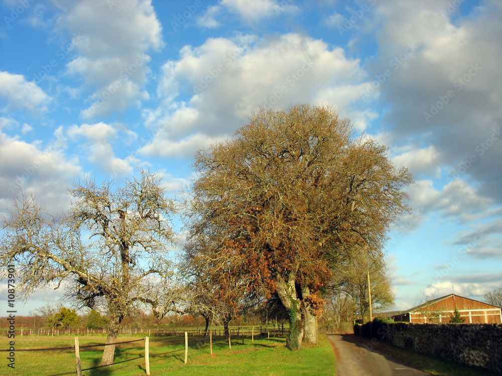 paysage de campagne paysage de campagne