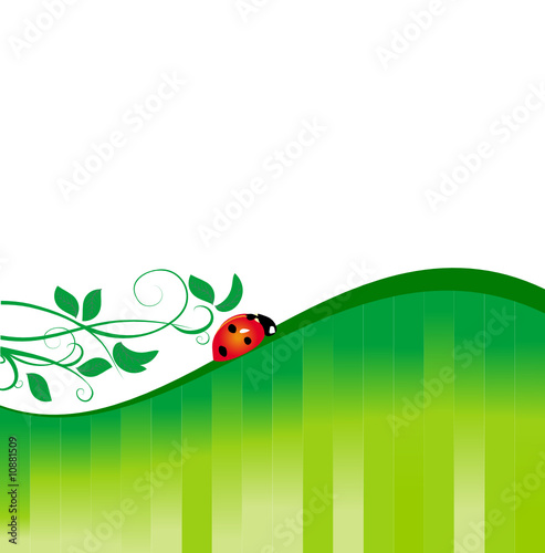 ladybird green backdrop