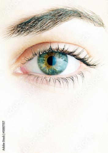 Close-up of beautiful woman face. On white background
