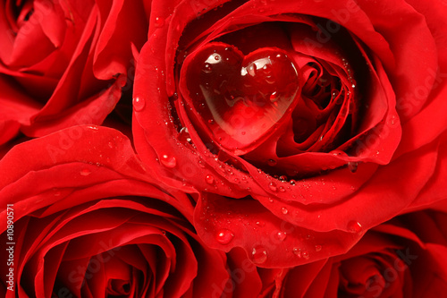 Close-up of a rose with red heart on petal