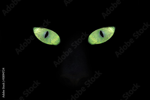 cat eye in the dark