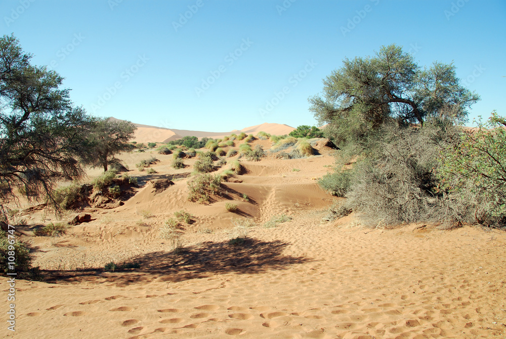 Namibia - Dune di Sossusvlei