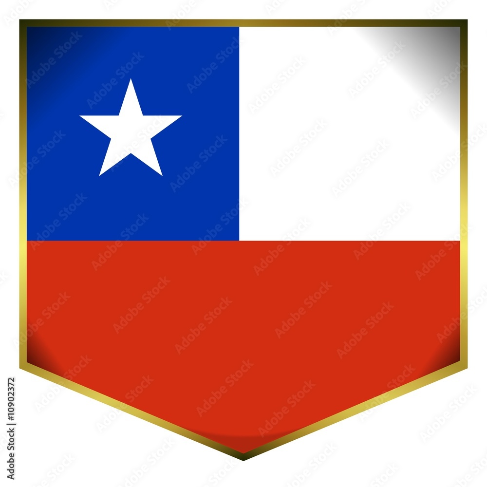 drapeau ecusson chili chile flag drapeau ecusson chili chile flag
