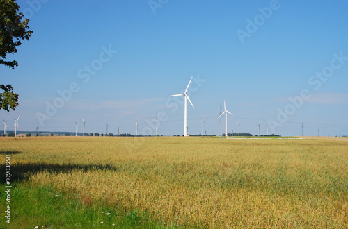Wind power generators in the field against blue sky.