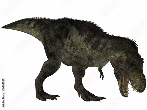 Tyrannosaurus Rex - 3D Dinosaurier © Andreas Meyer