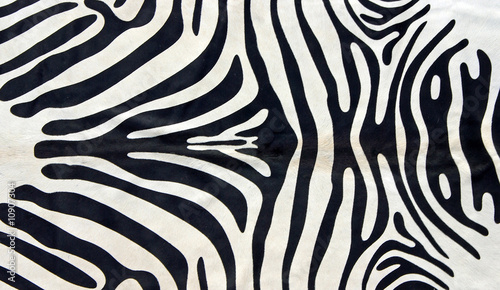 Afrika  - Im Land der wilden Tiere