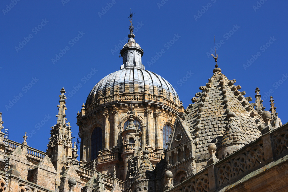 Salamanca cathedral