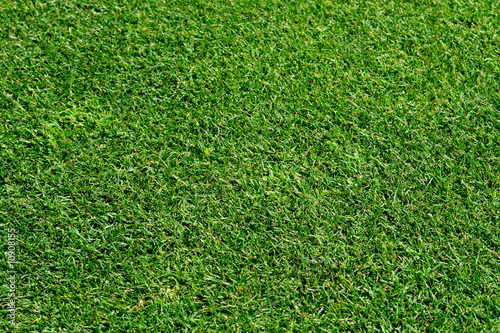 Golf course lawn pattern detail