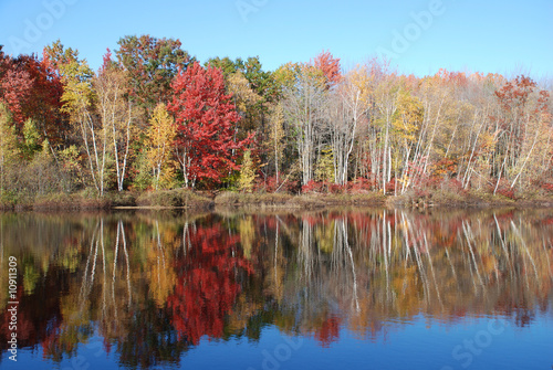 Maine Autumn Lake