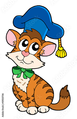 Cat teacher with hat