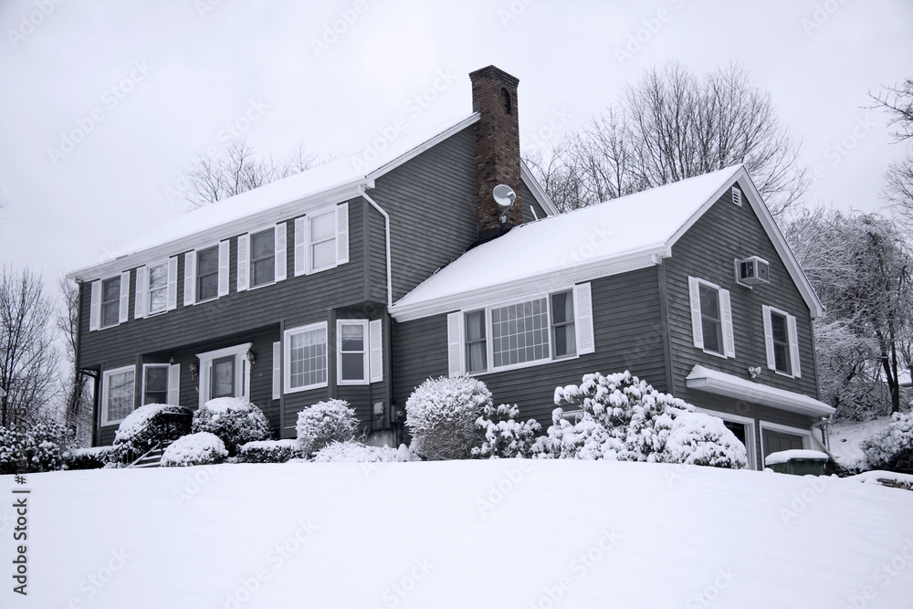 Obraz premium Snowy house