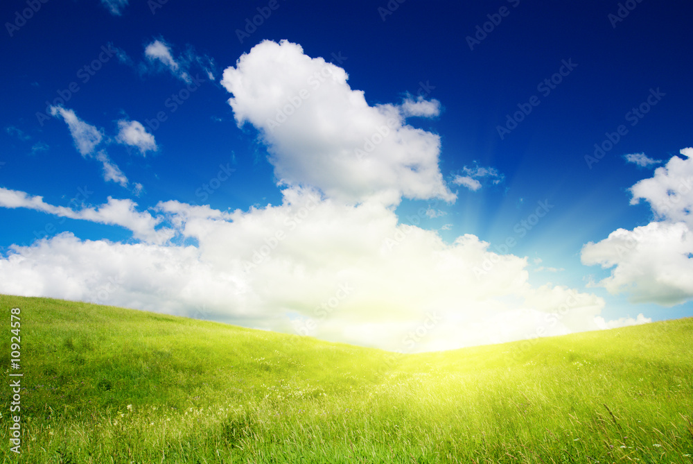 Obraz premium meadow