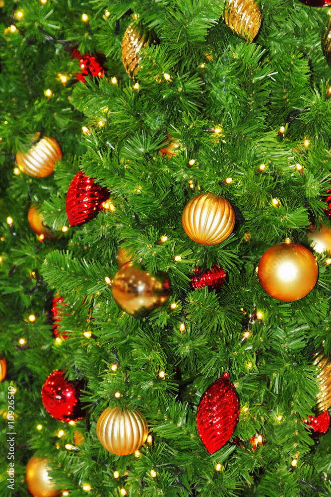 Fototapeta premium Christmas tree