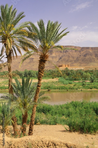 Oasis Tamnougalt in Draa Valley, Morocco