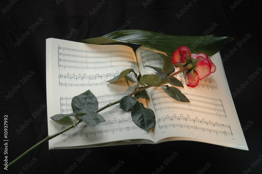 Fototapeta premium Mozarts Requiem