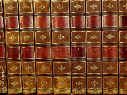 Canvas Print Background - antique leather bound books