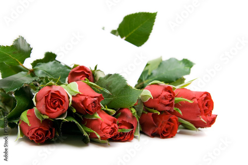 red roses  with ticket isolated on white