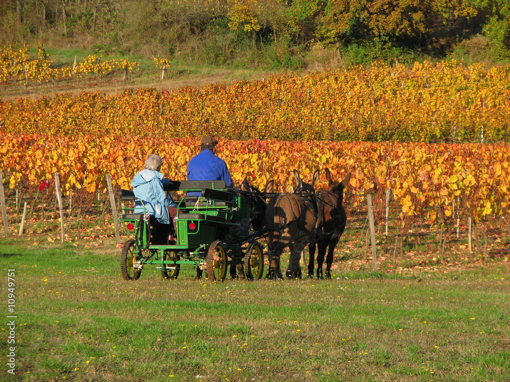 Obraz premium Vallée du Lot, Périgord