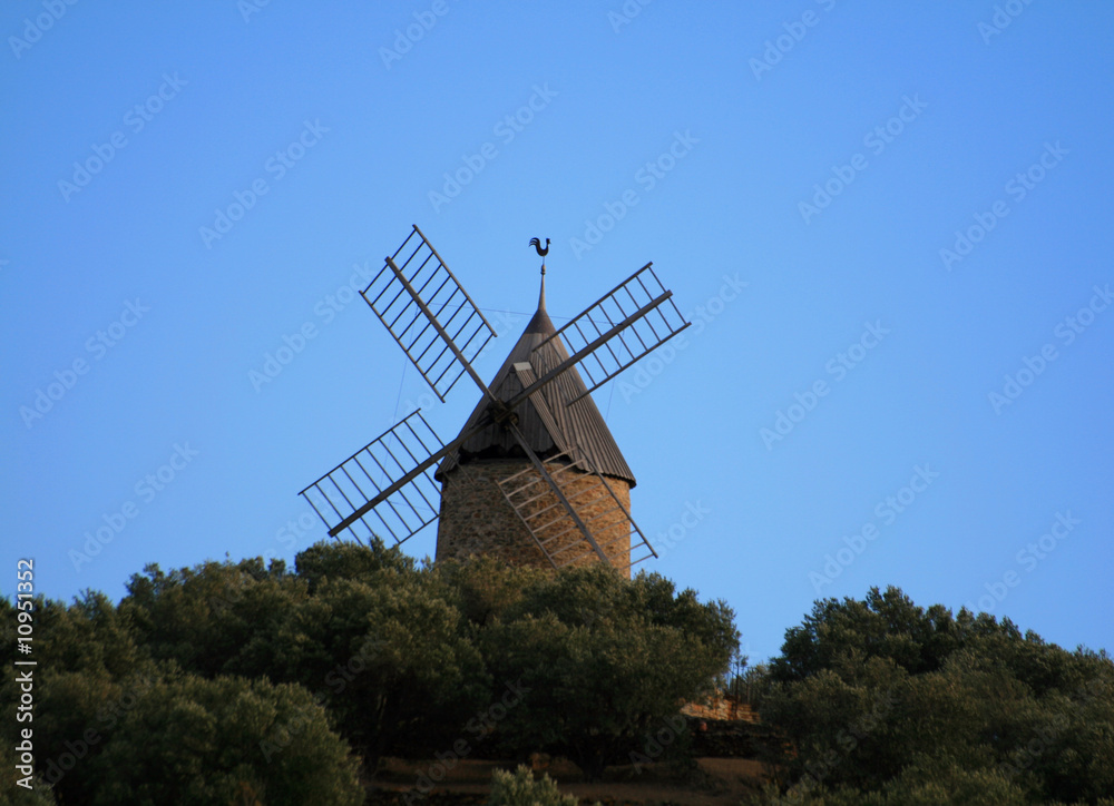Fototapeta premium Moulin