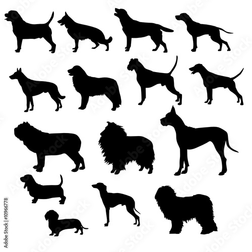 razze canine
