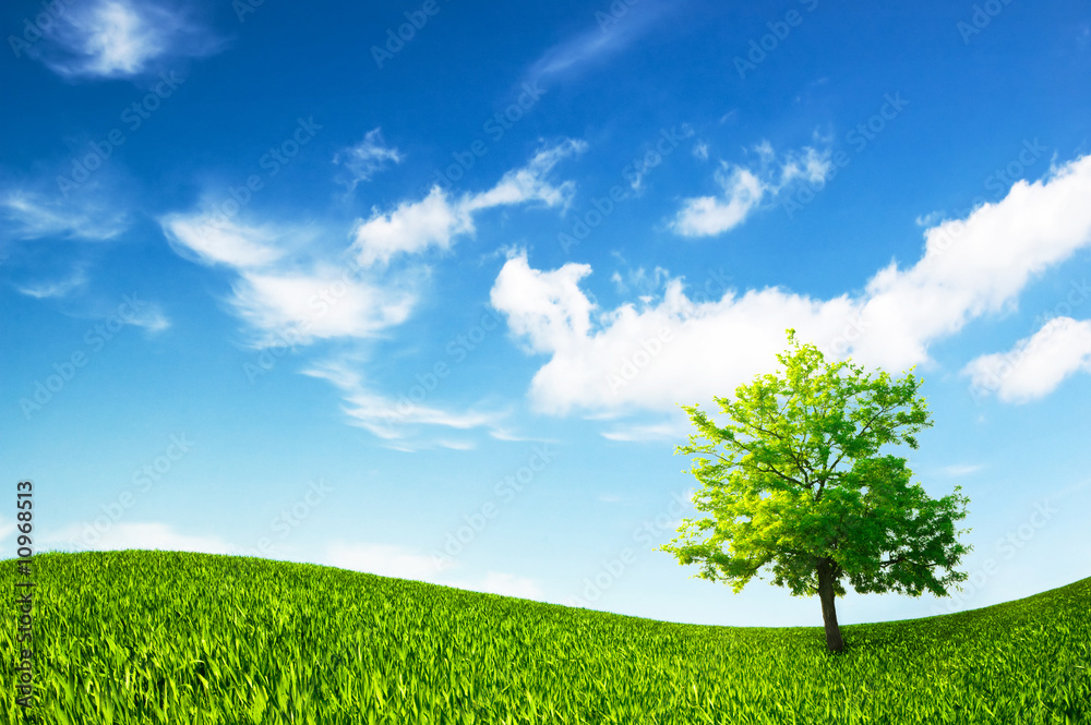 Obraz premium background of cloudy sky and grass