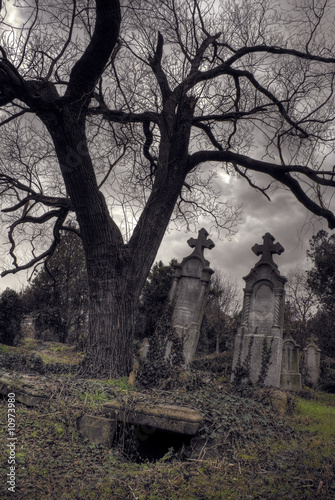 halloween scene with opened tomb