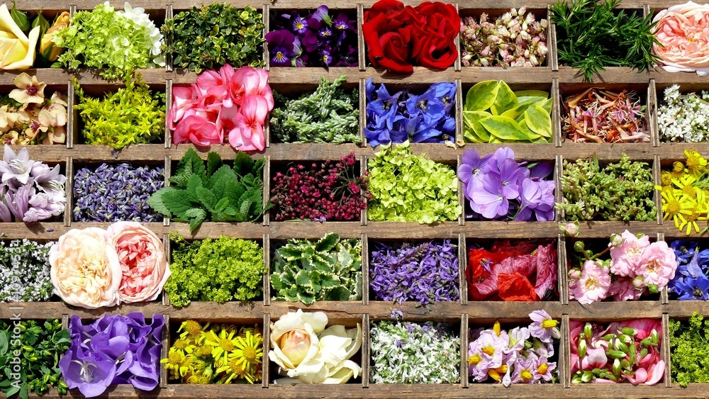 Fototapeta premium Farben des Sommers