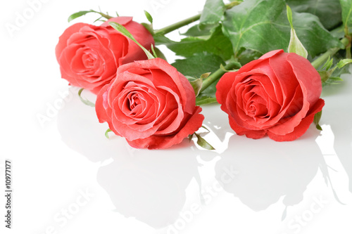 three red roses boquet