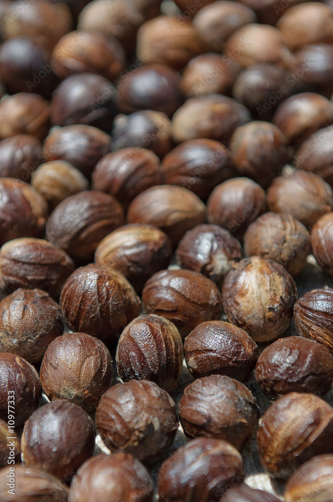 close up image of nutmeg close up image of nutmeg
