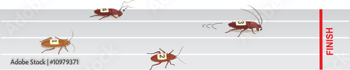 Cockroach Races