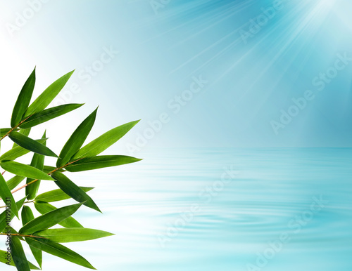 Bamboo leaves over abstract background