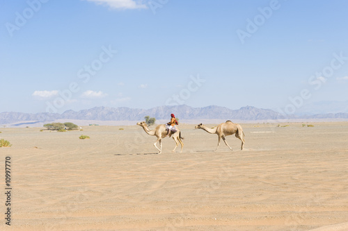 Wahiba Desert Oman