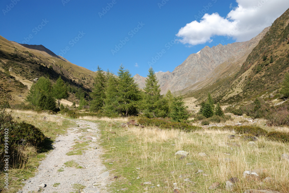 sentiero di montagna