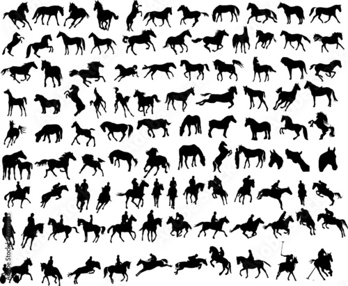 100 vector silhouettes of horses #10998163